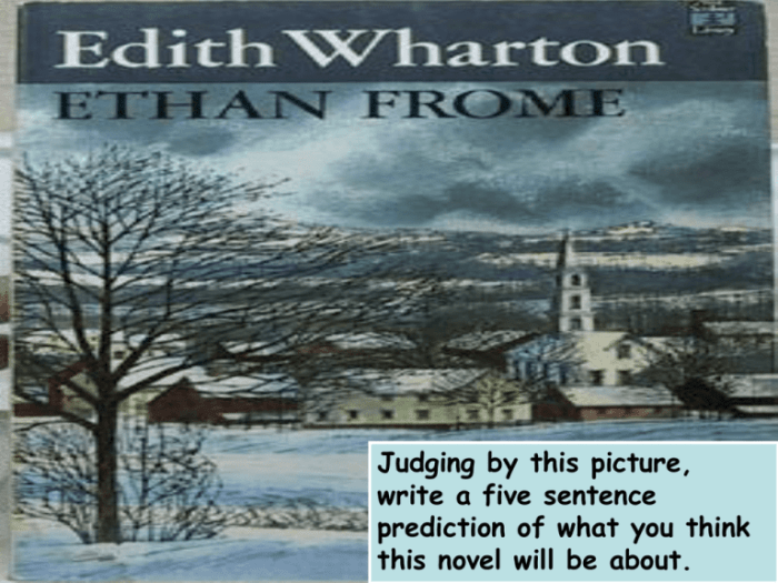 Chapter 4 ethan frome summary