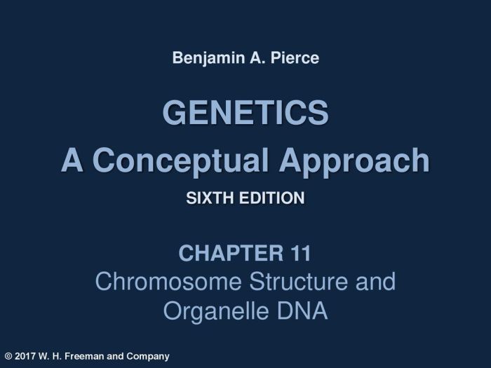 Genetics a conceptual approach sixth edition