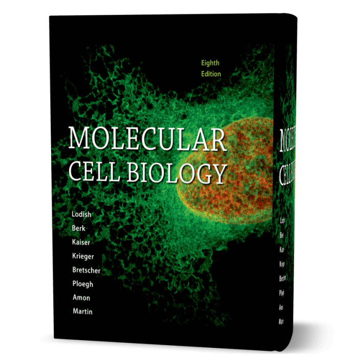 Molecular cell biology 8th edition