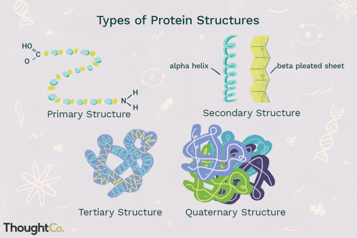 Proteins lipid structural classification target biolabs antibodies expression phospholipid bilayer