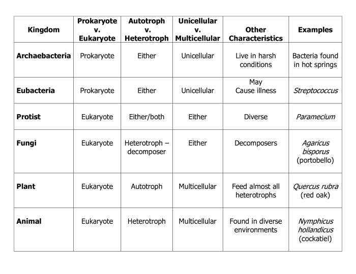 Six kingdoms coloring worksheet answer key